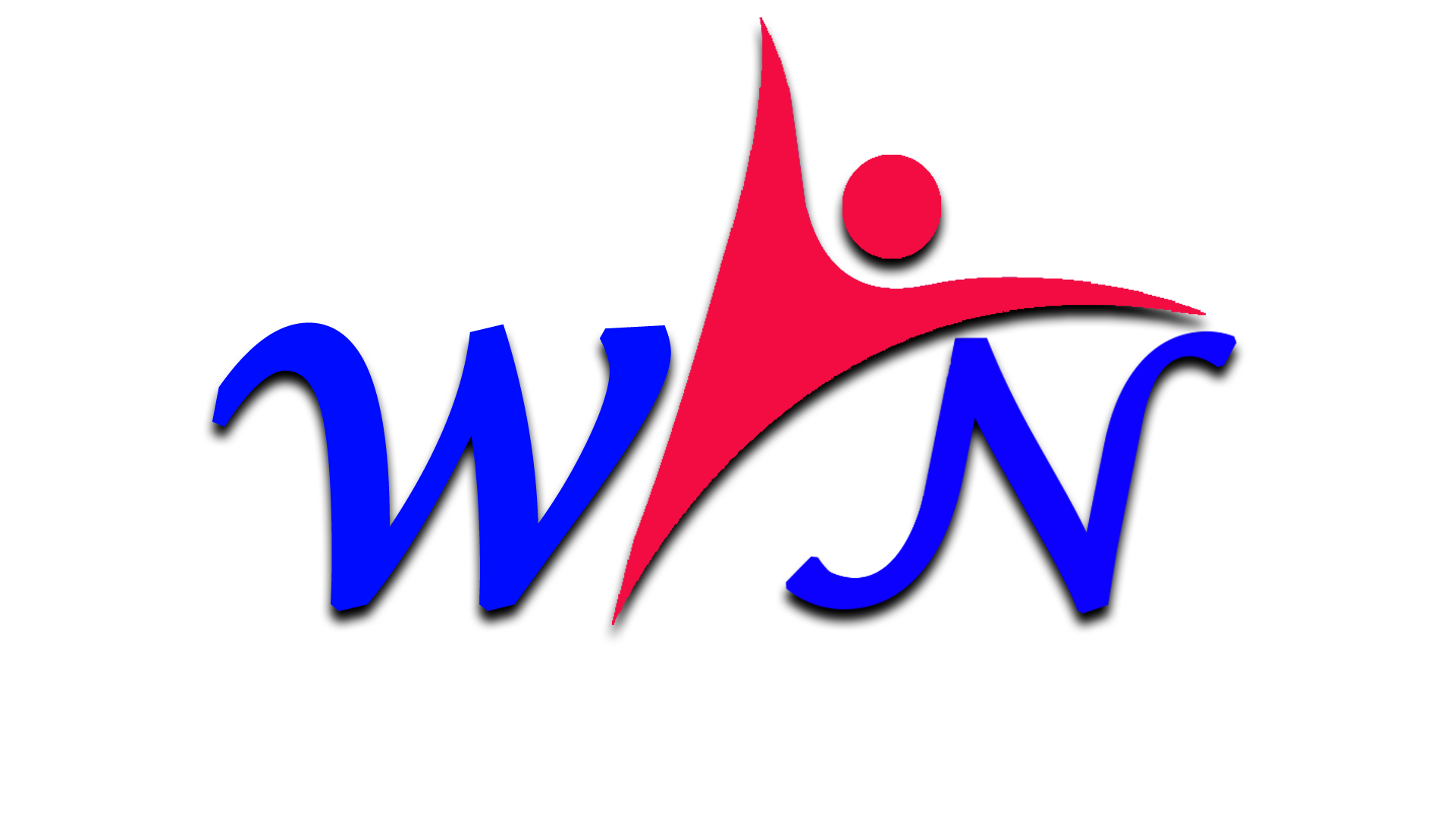 Wisdom Ingress Inc